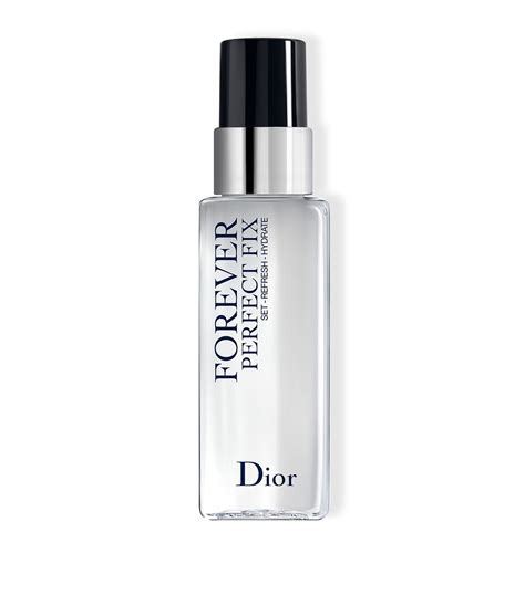 Dior forever perfect fix makeup